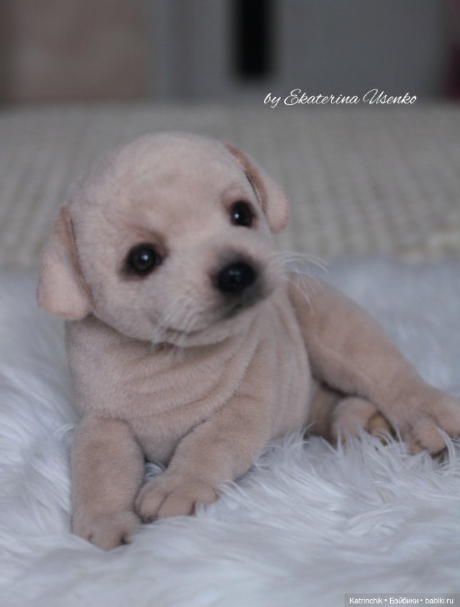Щенок лабрадора — Авторские мишки Тедди и друзья: фото (фото 6)