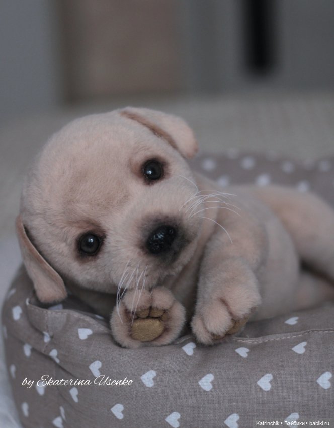 Щенок лабрадора — Авторские мишки Тедди и друзья: фото (фото 4)