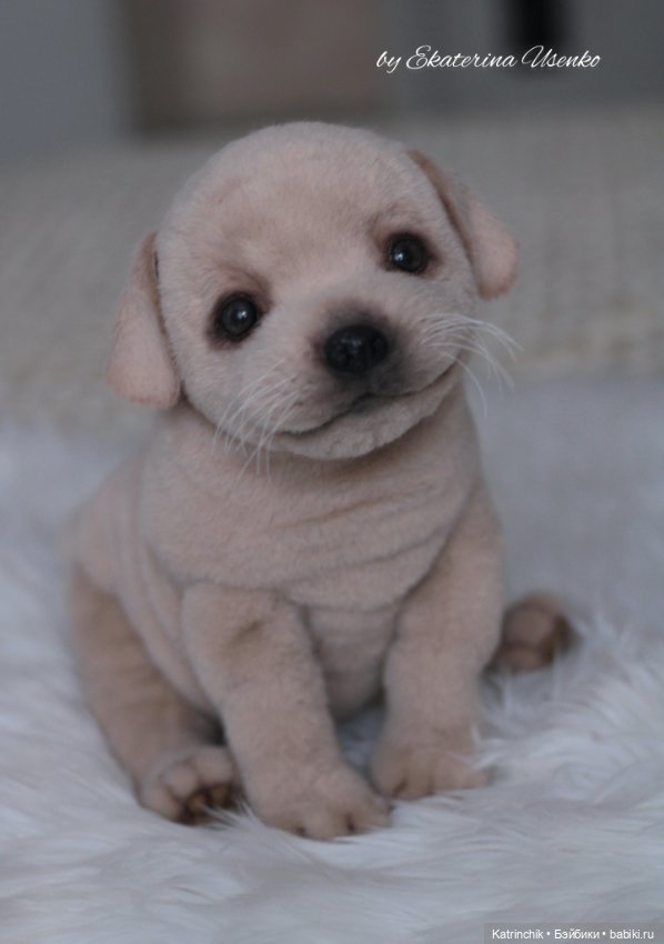 Щенок лабрадора — Авторские мишки Тедди и друзья: фото (фото 9)