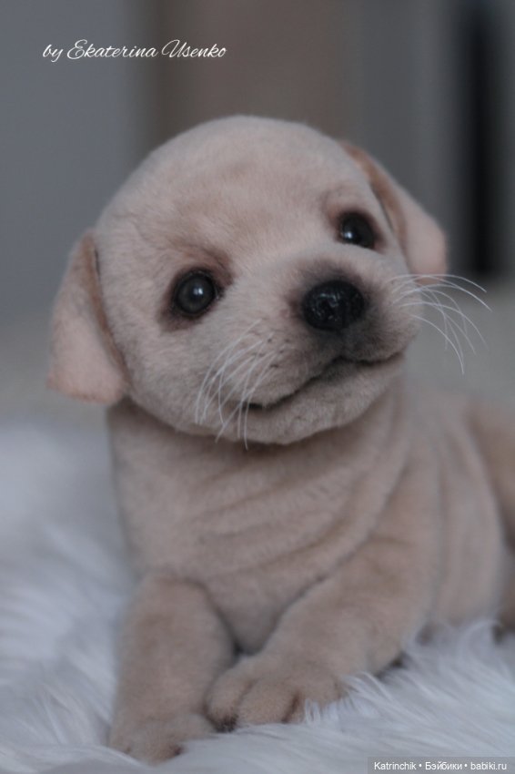 Щенок лабрадора — Авторские мишки Тедди и друзья: фото (фото 3)