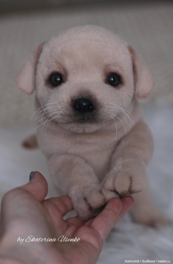 Щенок лабрадора — Авторские мишки Тедди и друзья: фото (фото 8)