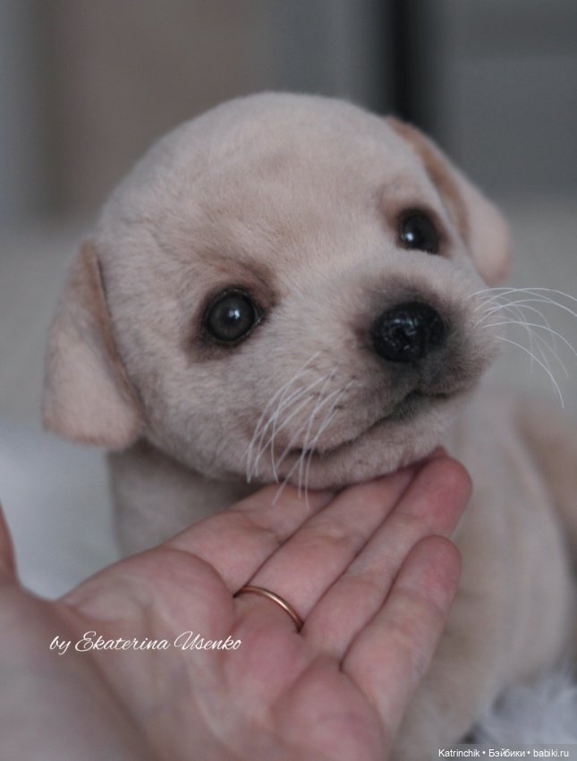 Щенок лабрадора — Авторские мишки Тедди и друзья: фото