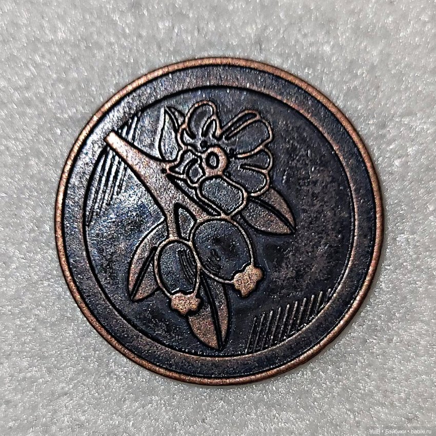 Александр, Флорида и Нью-Йорк (фото 2)