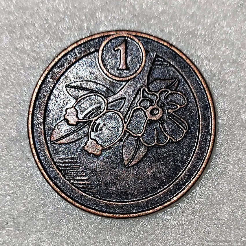 Александр, Флорида и Нью-Йорк