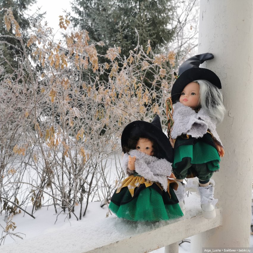 Паолочки + иней + зимний парк (фото 6)