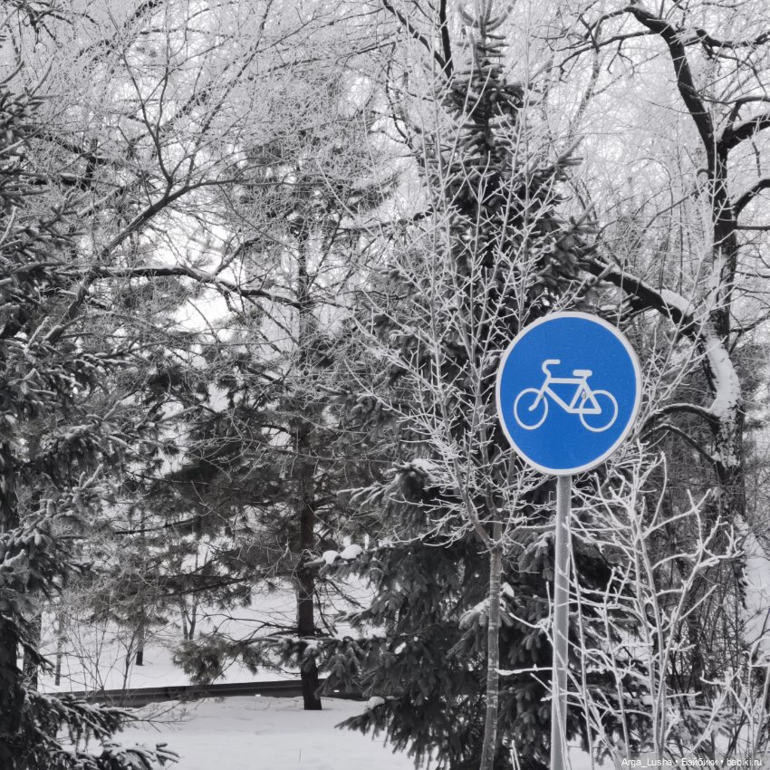 Паолочки + иней + зимний парк