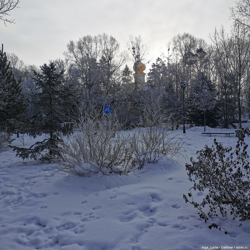 Паолочки + иней + зимний парк (фото 10)