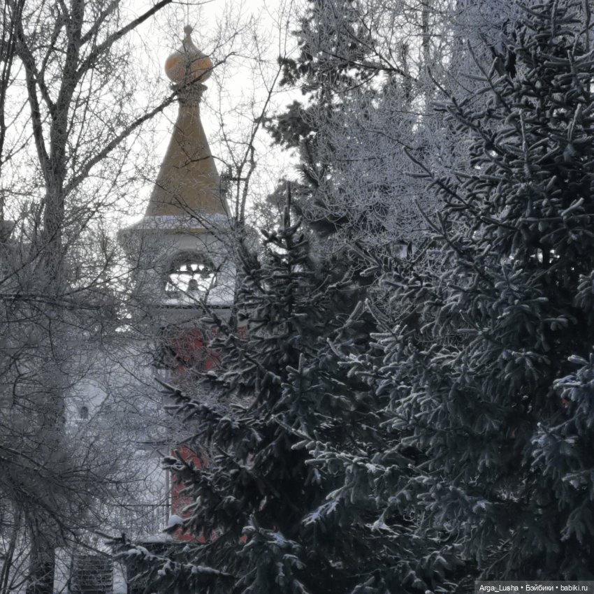 Паолочки + иней + зимний парк