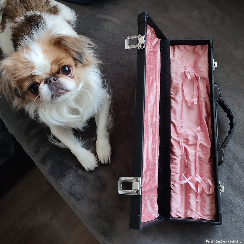 Ода райским птицам — Куклы Popovy Sisters (Сестры Поповы): авторские BJD