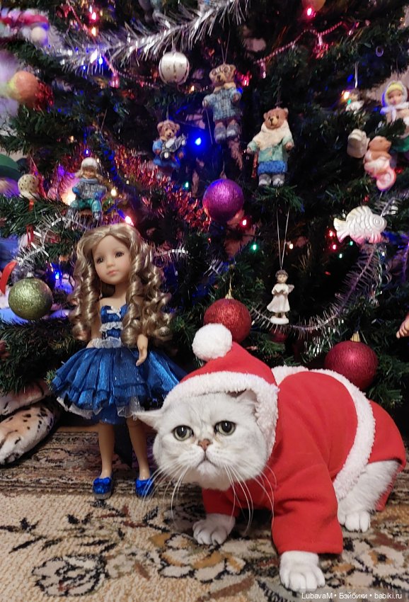Новогодние кошки — В мире животных: смешные фото питомцев и зверей (фото 8)