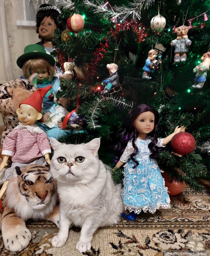 Новогодние кошки — В мире животных: смешные фото питомцев и зверей (фото 7)