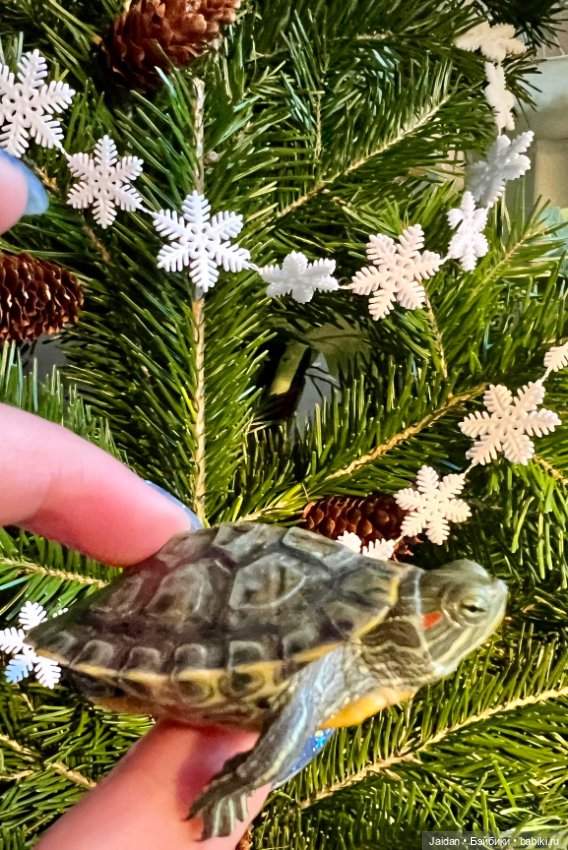 Когда хочется продолжения банкета (фото 6)