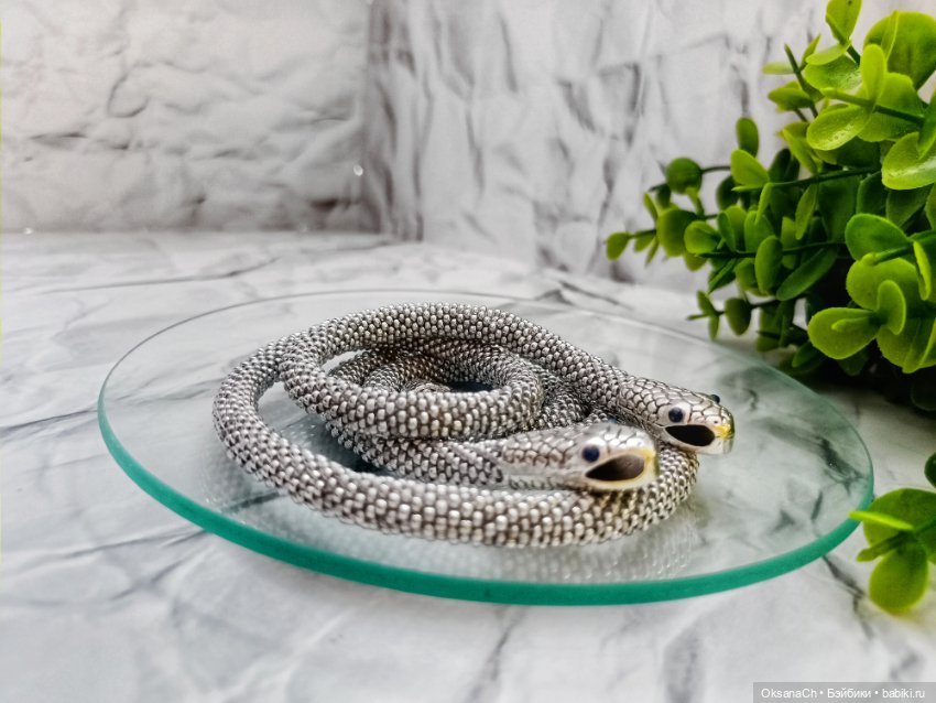 История — Другие хобби и увлечения: сад (фото 4)