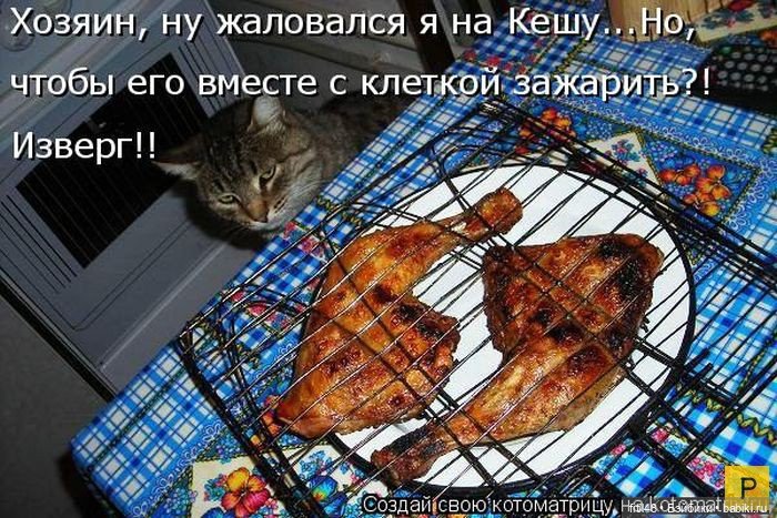 Новый год и рыжий кот — В мире животных: смешные фото питомцев и зверей