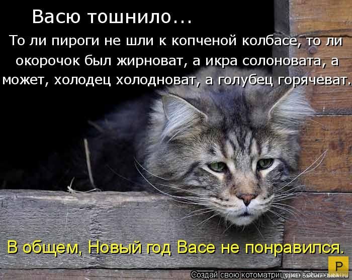 Новый год и рыжий кот — В мире животных: смешные фото питомцев и зверей