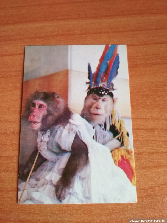 Мои карманные календарики Советский цирк из детства 4 часть (фото 6)