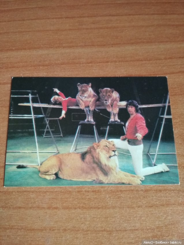 Мои карманные календарики Советский цирк из детства 4 часть