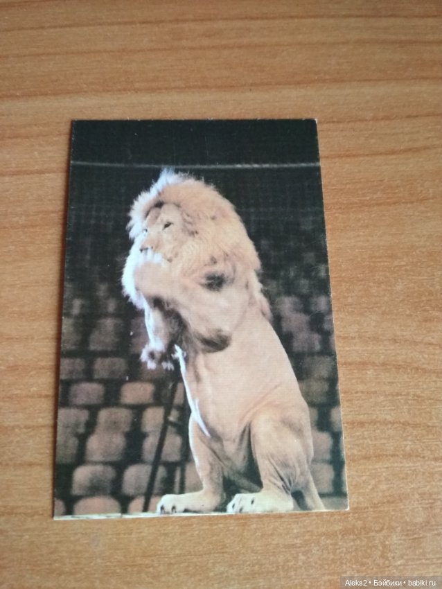 Мои карманные календарики Советский цирк из детства 4 часть