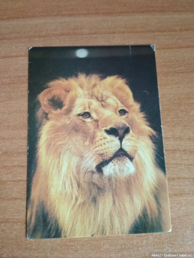 Мои карманные календарики Советский цирк из детства 4 часть