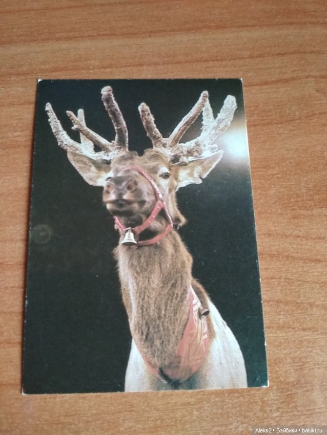 Мои карманные календарики Советский цирк из детства 3 часть