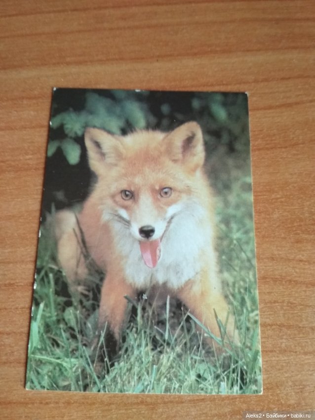 Мои карманные календарики Советский цирк из детства 4 часть