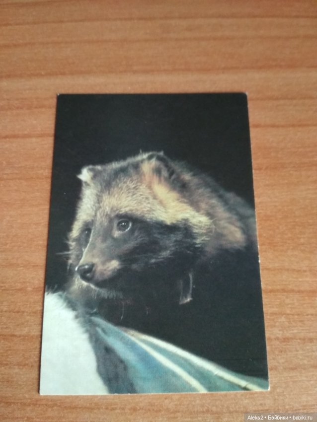 Мои карманные календарики Советский цирк из детства 4 часть