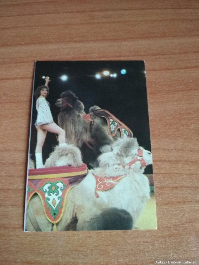 Мои карманные календарики Советский цирк из детства 4 часть