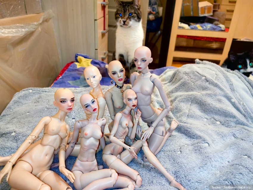 Собрание и сравнение — Авторские куклы BJD (БЖД) у нас дома: фото