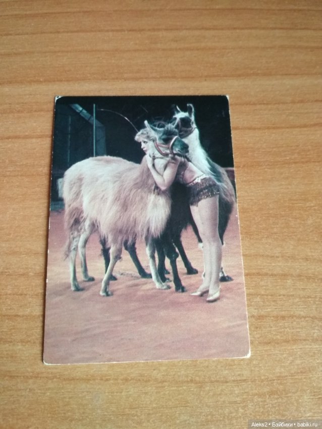 Мои карманные календарики Советский цирк из детства 4 часть