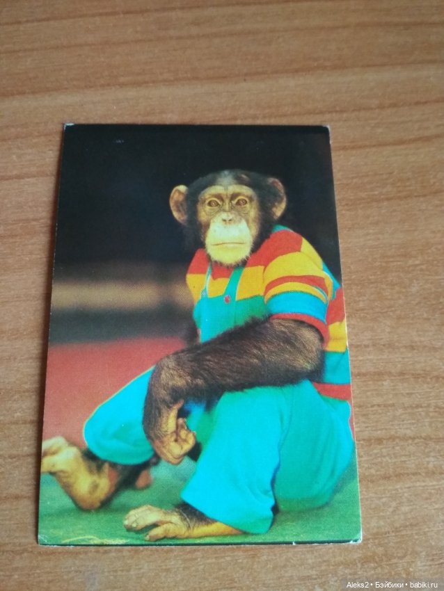 Мои карманные календарики Советский цирк из детства 4 часть