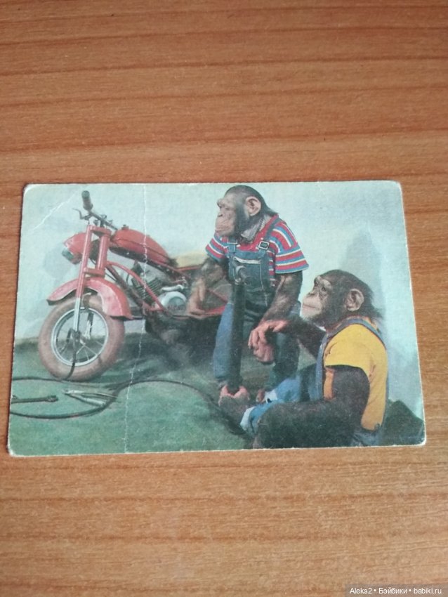 Мои карманные календарики Советский цирк из детства 4 часть (фото 5)