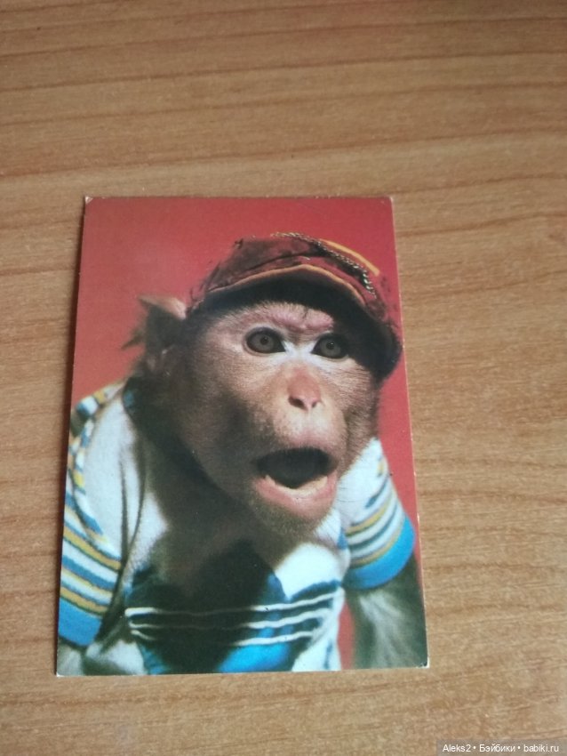 Мои карманные календарики Советский цирк из детства 4 часть (фото 10)