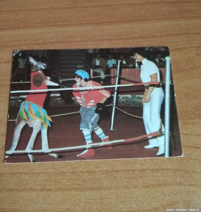 Мои карманные календарики Советский цирк из детства 3 часть