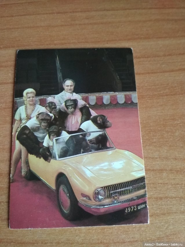 Мои карманные календарики Советский цирк из детства 4 часть (фото 4)