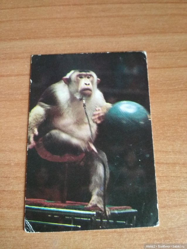 Мои карманные календарики Советский цирк из детства 4 часть (фото 7)