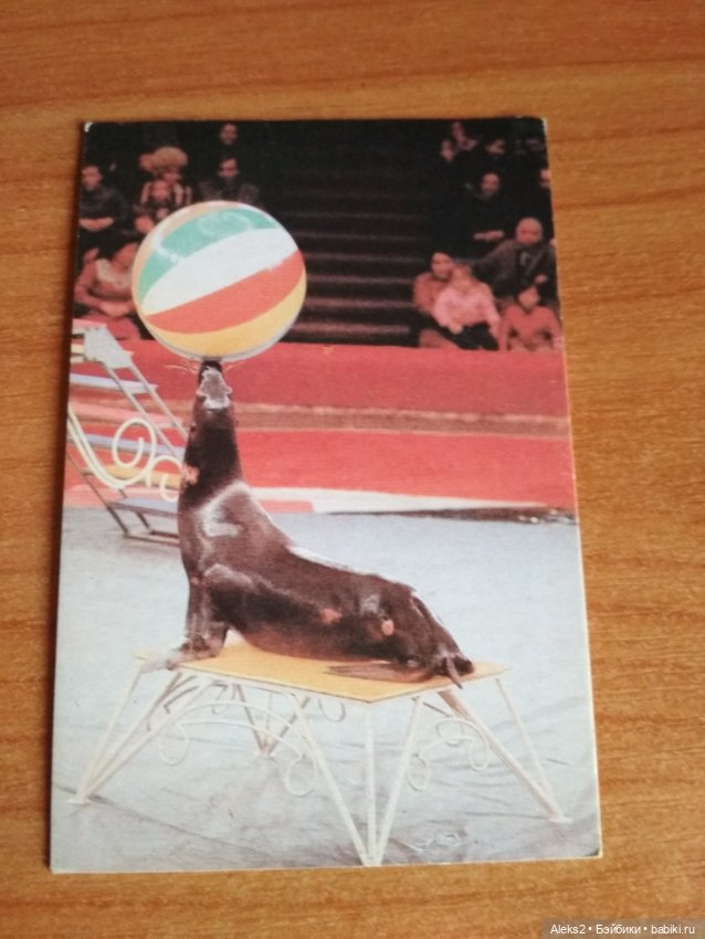Мои карманные календарики Советский цирк из детства 3 часть