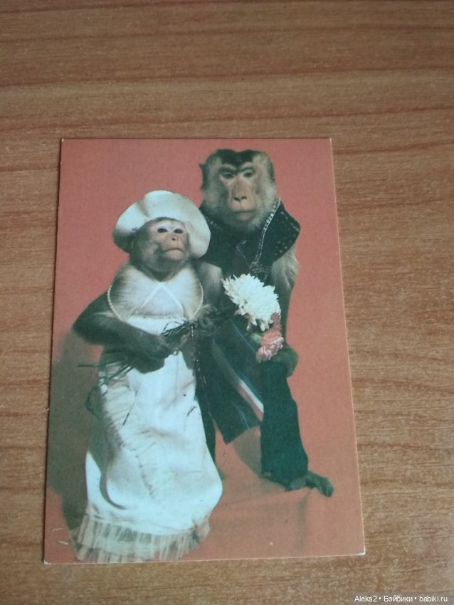 Мои карманные календарики Советский цирк из детства 4 часть