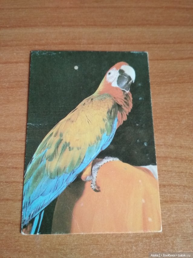 Мои карманные календарики Советский цирк из детства 3 часть