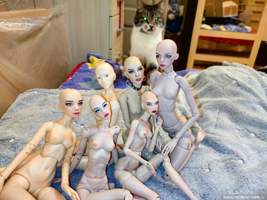 Собрание и сравнение — Авторские куклы BJD (БЖД) у нас дома: фото