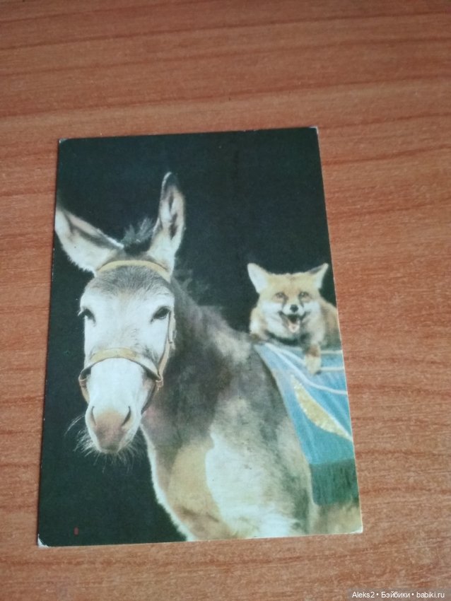 Мои карманные календарики Советский цирк из детства 4 часть