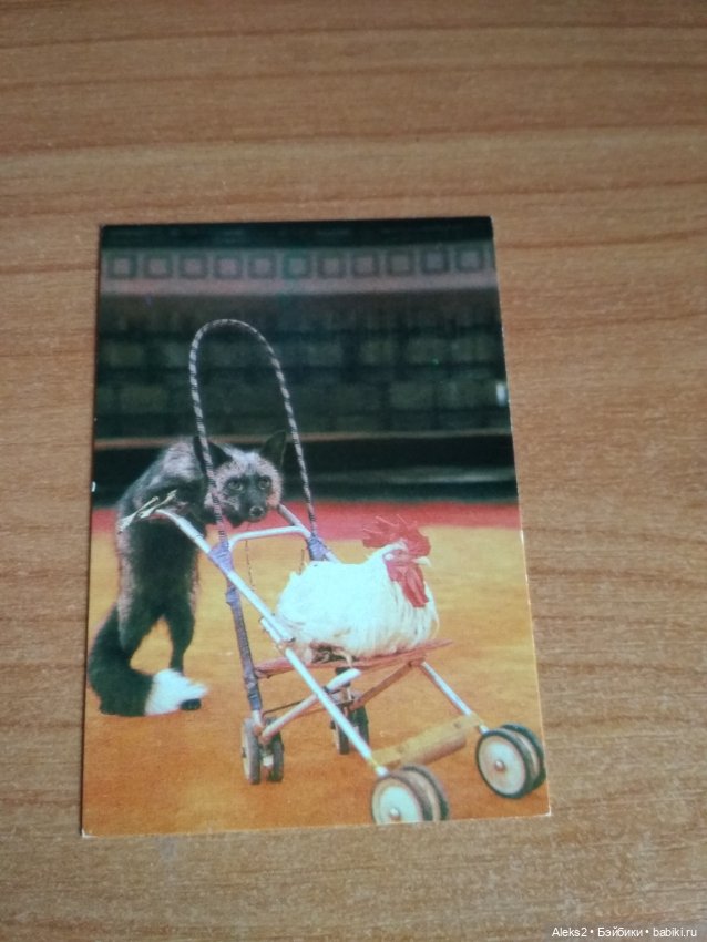 Мои карманные календарики Советский цирк из детства 4 часть