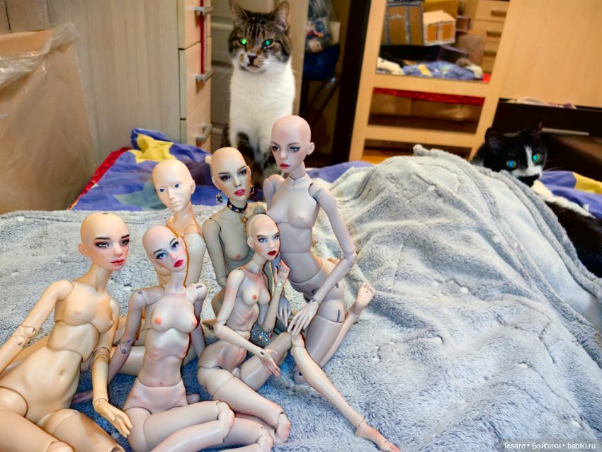 Собрание и сравнение — Авторские куклы BJD (БЖД) у нас дома: фото