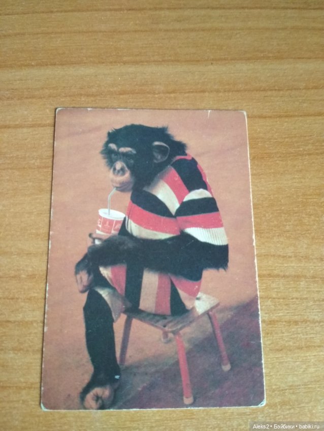 Мои карманные календарики Советский цирк из детства 4 часть (фото 8)