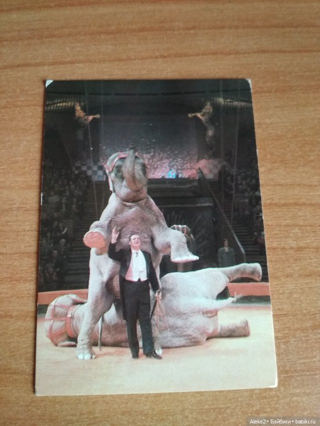 Мои карманные календарики Советский цирк из детства 6 часть (фото 8)