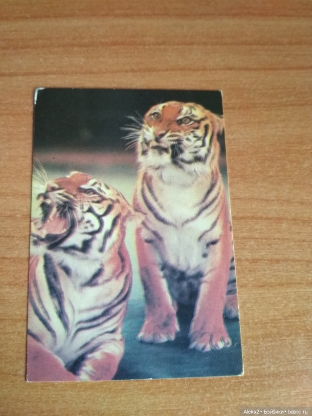 Мои карманные календарики Советский цирк из детства 6 часть (фото 3)