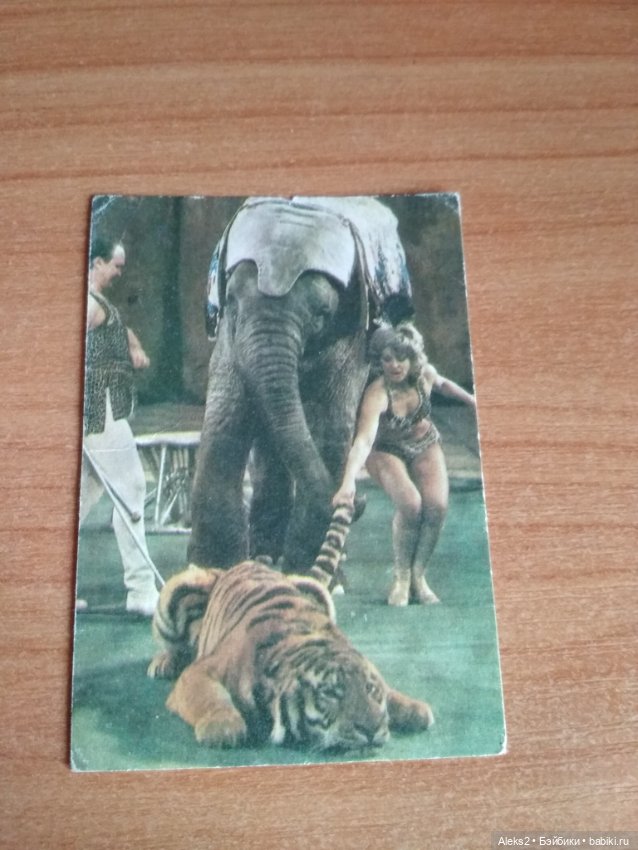 Мои карманные календарики Советский цирк из детства 6 часть (фото 6)