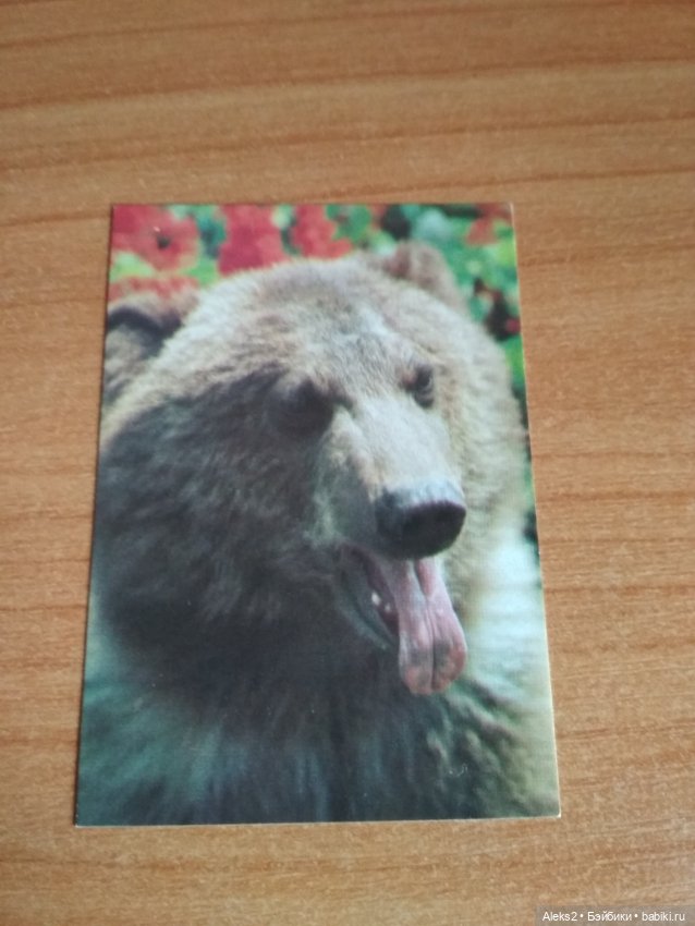 Мои карманные календарики Советский цирк из детства 6 часть