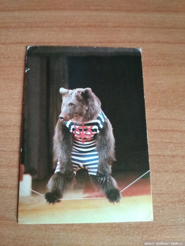 Мои карманные календарики Советский цирк из детства 7 часть (фото 3)