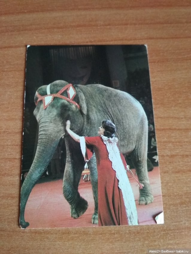 Мои карманные календарики Советский цирк из детства 6 часть (фото 9)