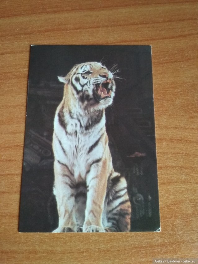 Мои карманные календарики Советский цирк из детства 5 часть